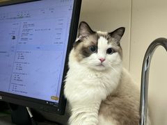 -芭比堂动物医院·CT·微创中心(新顺分院)