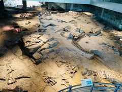 -自贡恐龙博物馆