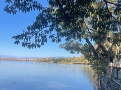 -西昌邛海湿地-月亮湾景区