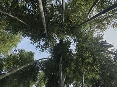 -乌村