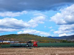 -塞罕坝国家级自然保护区