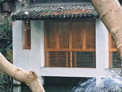 -杭州植物园