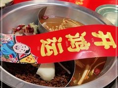 -谭鸭血老火锅(慈云寺店)