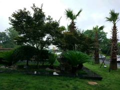 景观位-红豆杉庄会议中心