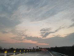 -合肥滨湖国家森林公园