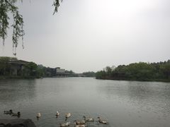 -上海怡沁园度假酒店