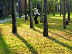 -四海公园(南山区)