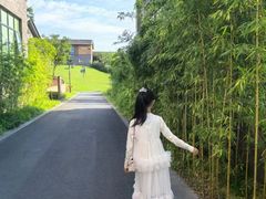 -天目湖涵田半山温泉