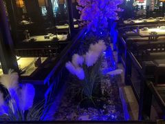 -绿茶餐厅(昆明世纪金源店)
