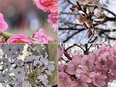 -花亭湖风景名胜区