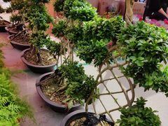 -甘肃国际会展中心