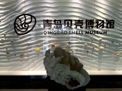 -青岛贝壳博物馆