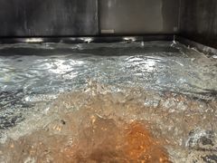 -丽思卡尔顿酒店泳池(金融街店)