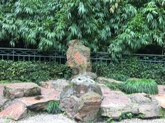 -杭州黄龙洞