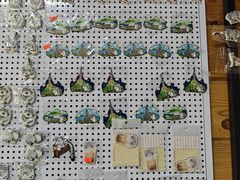 -青藏高原野生动物园