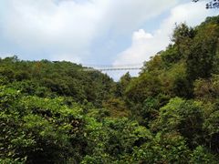 -牛鱼嘴原始生态风景区