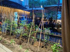 -黄山老妈·土菜(碧桂园店)