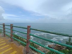 -广东惠东海龟国家级自然保护区
