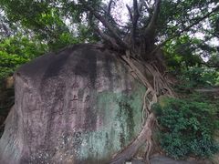 -草庵摩尼教遗址公园