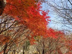 -崂山巨峰游览区