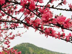 -南北湖风景区