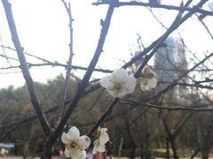 -港式金翠茶餐厅