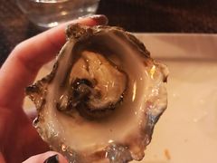 -斯普汇生蚝牛排馆(中骏世界城店)