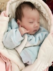 -白领安琪儿妇产医院•早孕•产检•月子中心