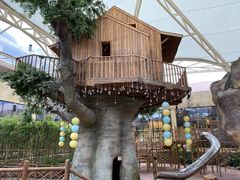 -杭州开元森泊度假乐园