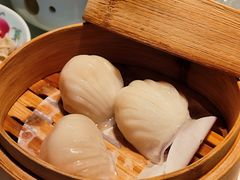维园虾饺皇-维园悦谱·海派家常菜(乌鲁木齐南路店)