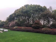 -常州环球恐龙城维景国际大酒店