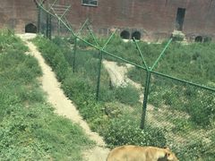 -新疆天山野生动物园