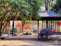 -兰亭风景区