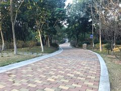 -玉树公园