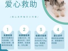 -东莞宠友24H宠物中心医院·转诊夜诊·异宠(新河北路院)