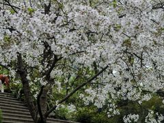 -南山植物园