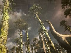 -陕西自然博物馆