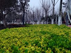 -滨湖塘西河公园