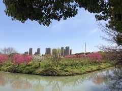 -南汇桃花村