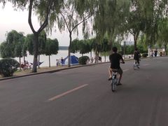 -丁香湖公园