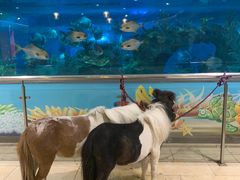 -常州海昌海洋探索馆