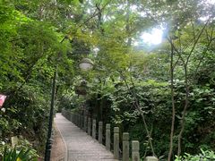 -十八棵（老龙井）御茶园(老龙井店)