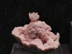 -南京博物院
