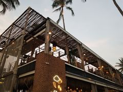 -Coco Tam’s