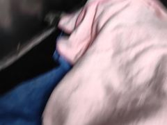 -瑞派·关忠动物医院·猫专科·犬专科(三环新城店)