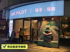 -飞行喵MR PILOT|猫舍·猫咖(静安大融城店)