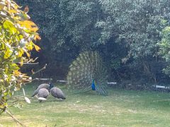 -J Create城市露营咖啡·简餐·宠物(上海动物园店)