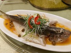 -巷语私房料理(华一实业大厦店)