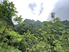 -龙窝子