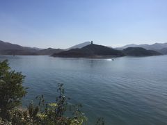 -望湖烤鱼